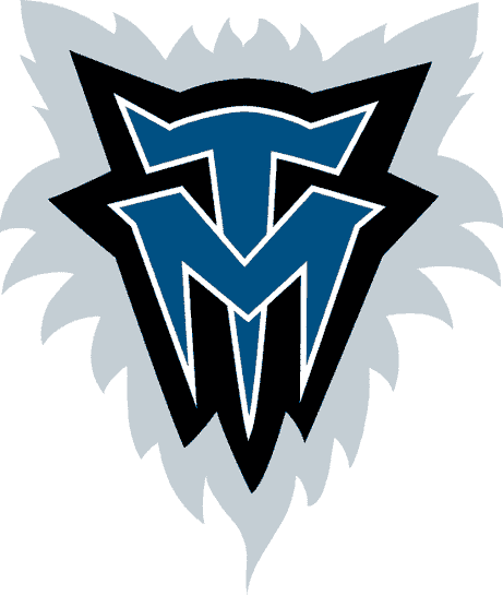 Minnesota Timberwolves 1996-2008 Alternate Logo t shirts DIY iron ons v2